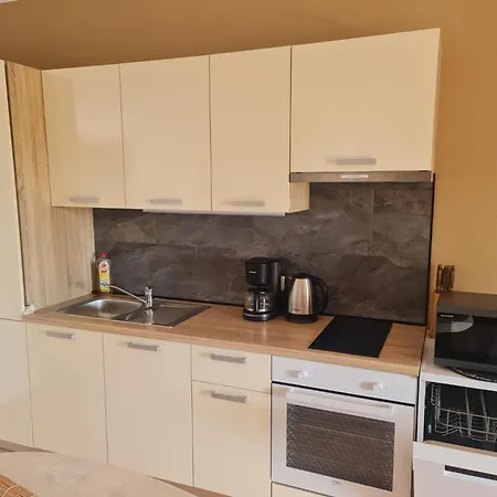 公寓 Haus Pedinka 2 维尔