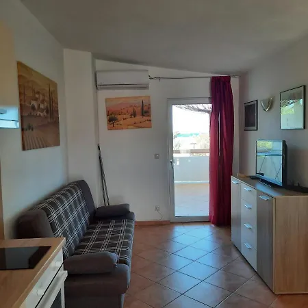 Haus Pedinka 2 Apartment Vir